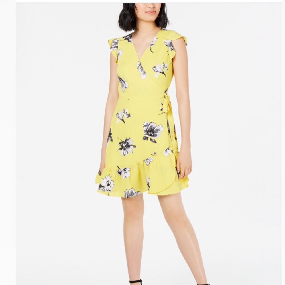 BAR III DRESS - 𝗚𝗥𝗔𝗣𝗛𝗜𝗖 𝗕𝗟𝗢𝗢𝗠 - Picture 5 of 5